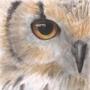 Meet your Posher, Maegan